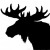 Profile picture of L. Moose