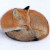 Profile picture of SleepingFox